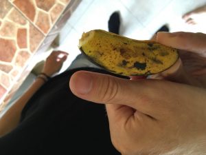 Bananas are the best snacks.