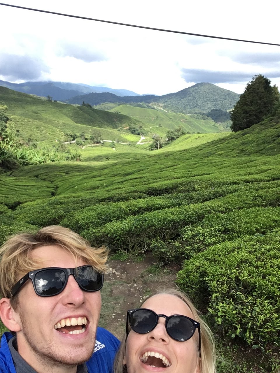 Me and Grete smiling between tea bushes